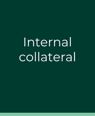 Picture for category Internal Collateral